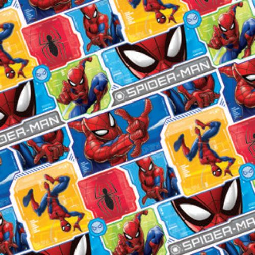 SPIDERMAN cuadros