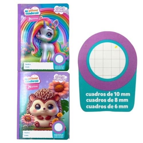 Cuaderno preescolar cuadros progresivos de norma femenino