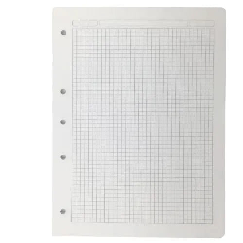 hojas para folder, Cuadriculadas 105 grande