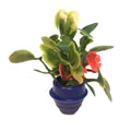 Materiales Para Maqueta Aire Libre - Florero