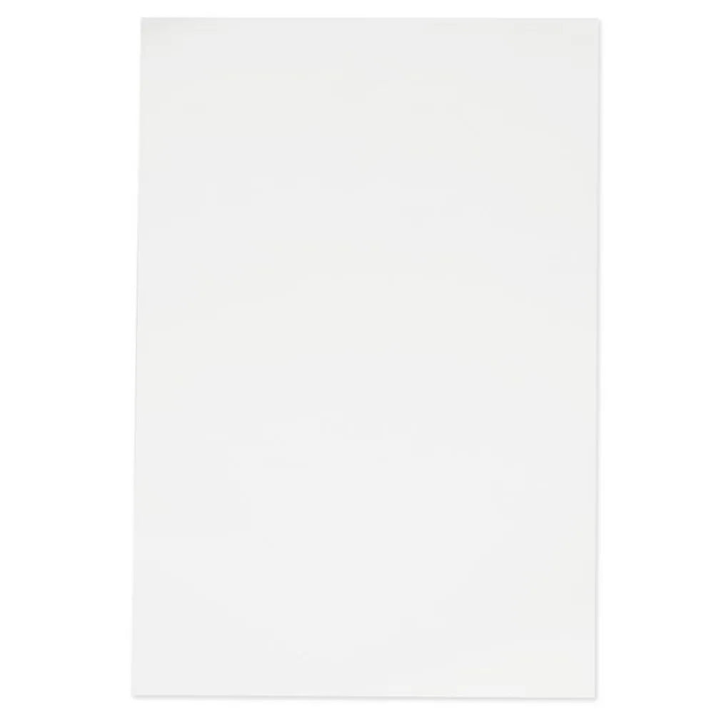 Cartulina Bristol Blanca x100 Oficio