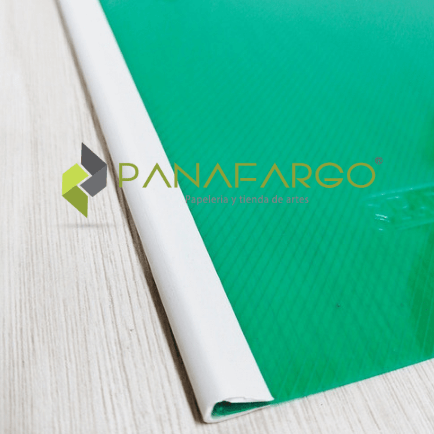 Carpeta Bisel Carta y Oficio Plastica verde detalle Panafargo