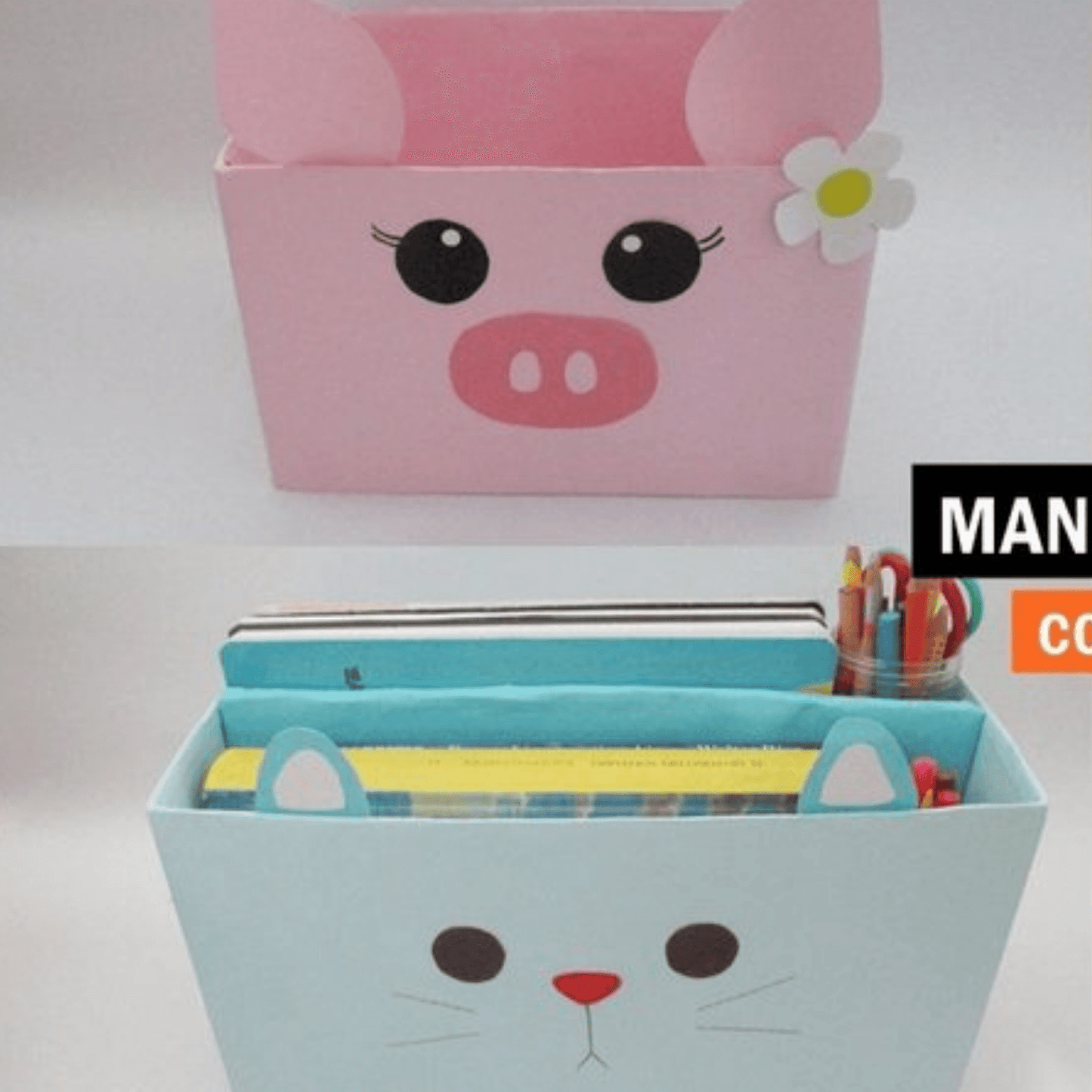 Carton Industrial En todos los grosores cerdito Panafargo