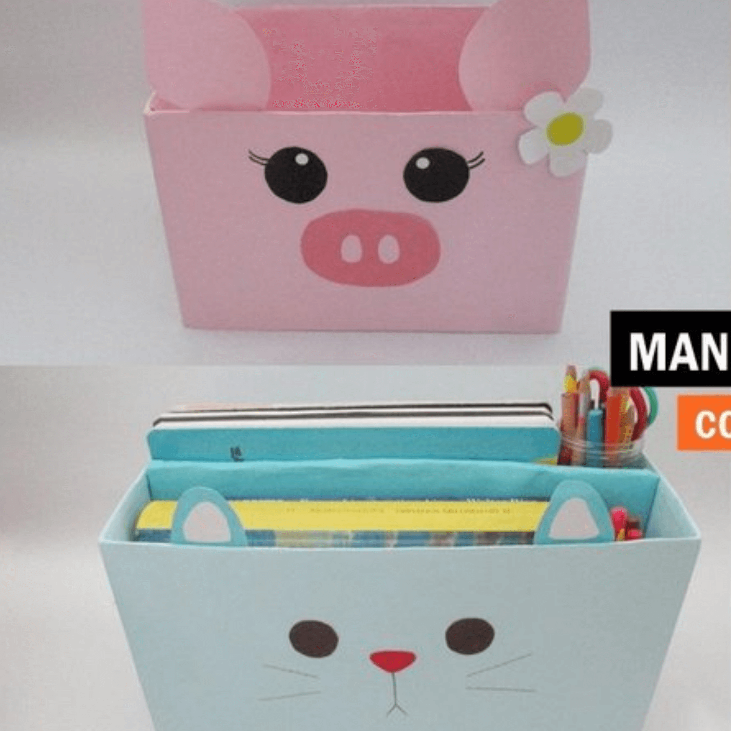 Carton Industrial En todos los grosores cerdito Panafargo