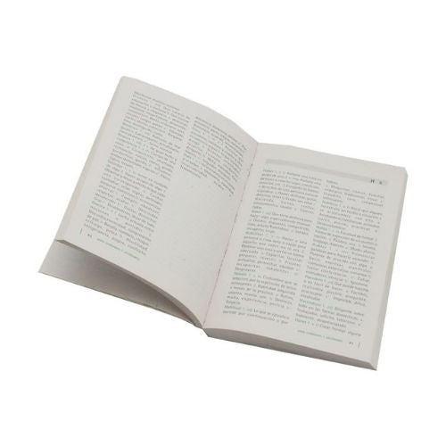 Diccionario De Sinonimos Y Antonimos Rapsa Abierto Por La Mitad
