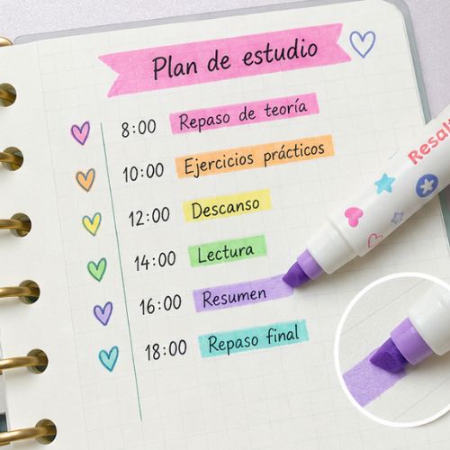 Estuche de 6 Marcadores Resaltadores doble punta fina y rectangular FLOWER POWER