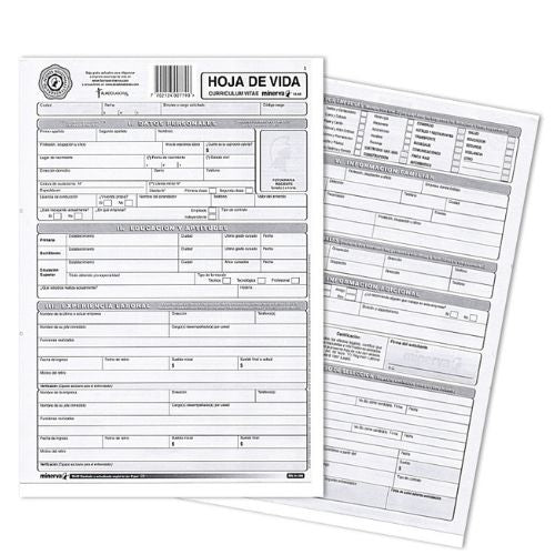 Hoja de Vida Gris Minerva 10-00 Tamaño Carta Curriculum Vitae