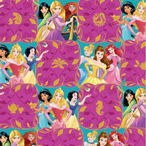 PRINCESAS cuadros azules fdo fucsia