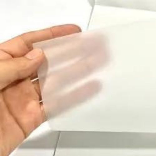 Pergamino En Todos Los Tamanos Sobre Mano
