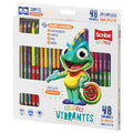 Colores doble punta scribe 48 colores