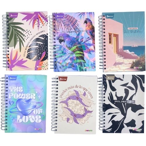 Cuaderno argollado 5 materias pequeno mixto masculino