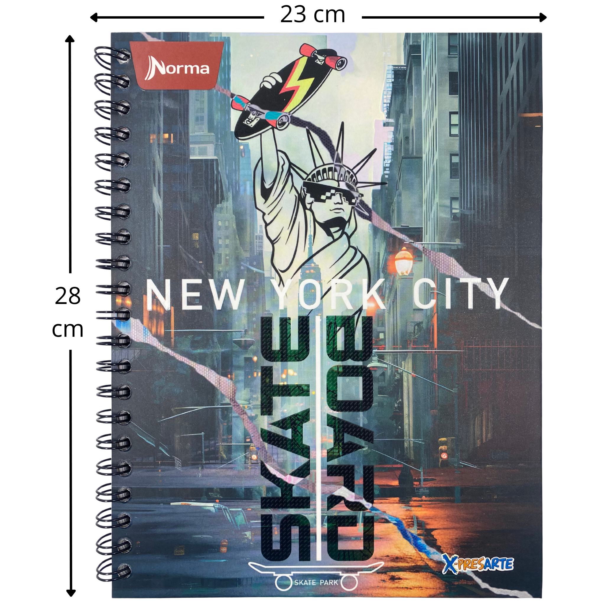 cuaderno grande, Argollado pasta dura - Masculino Linea corriente