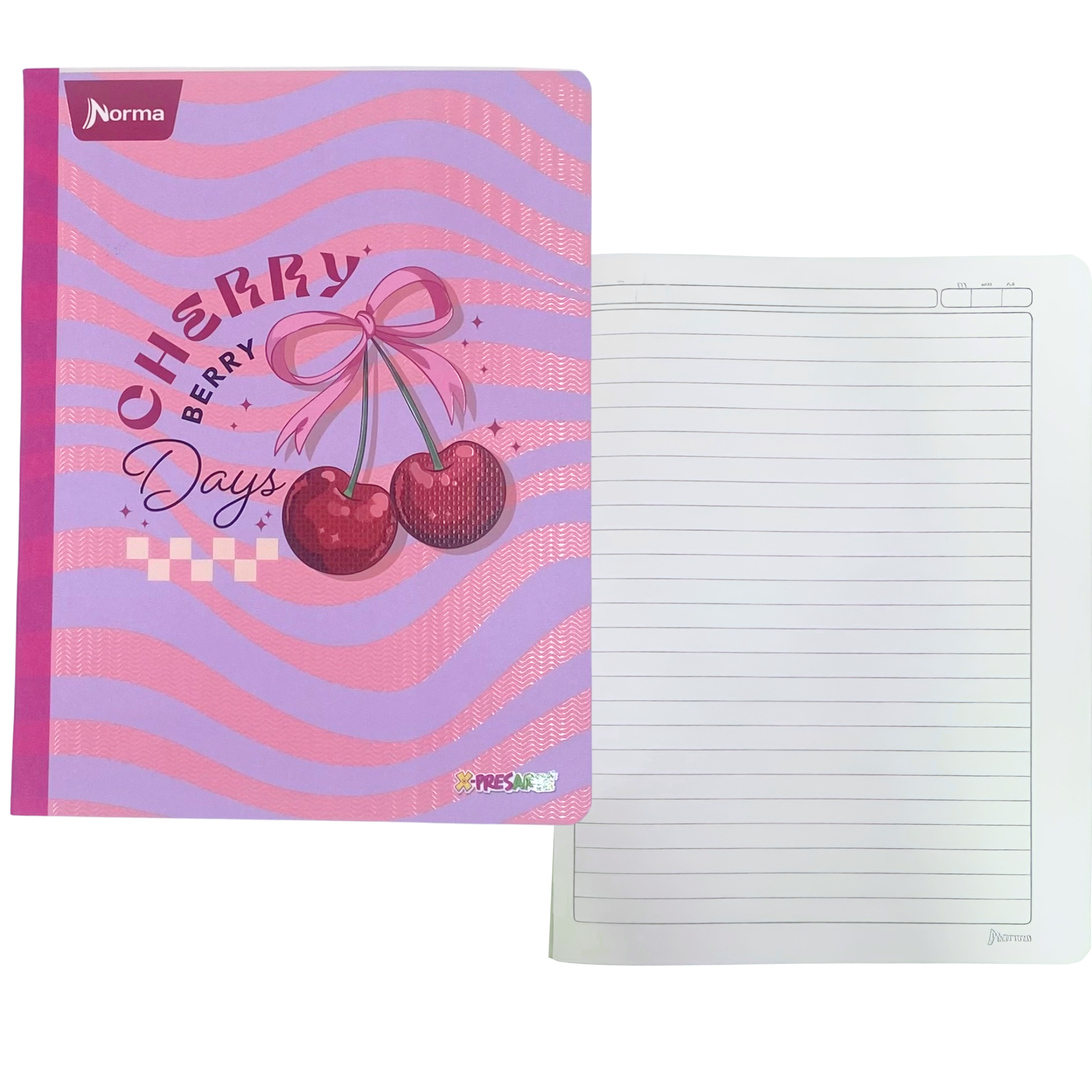 cuaderno norma cosido, Linea corriente 100 hojas gama media - Femenino