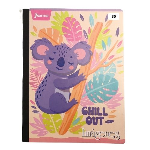 Cuaderno cosido imagenes 50 hojas linea corriente norma femenino 30 2025