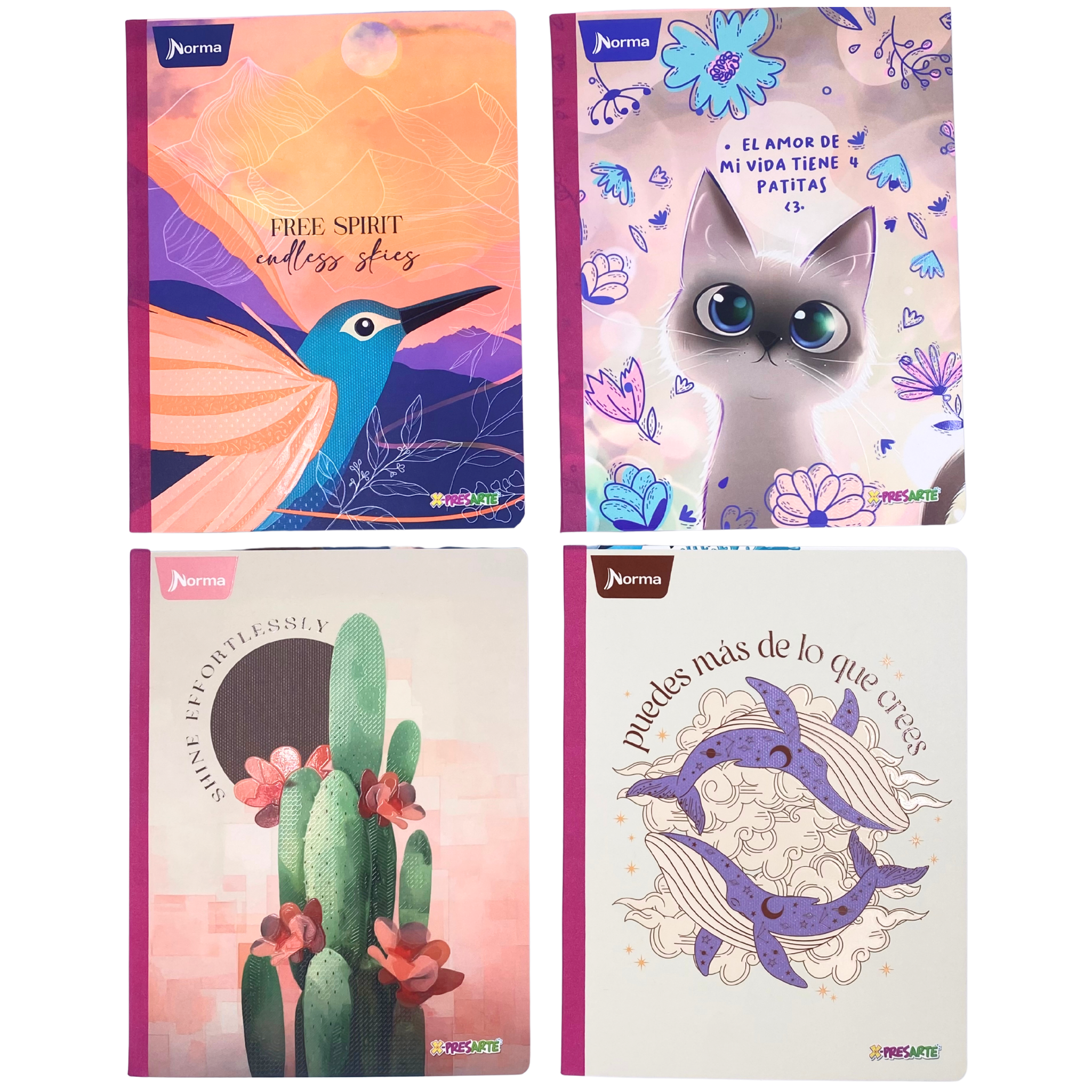 cuaderno norma cosido, Linea corriente 100 hojas gama media - Femenino