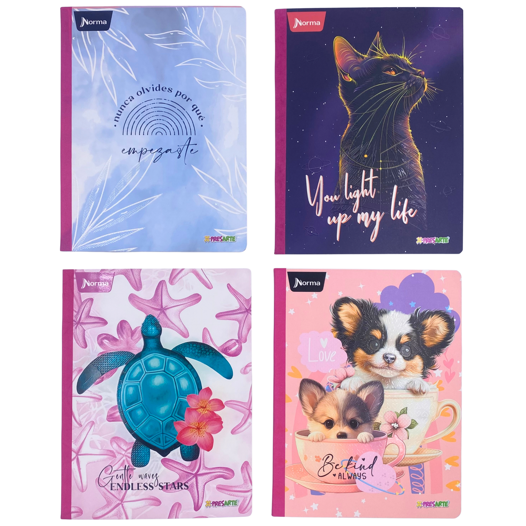 cuaderno norma cosido, Linea corriente 100 hojas gama media - Femenino