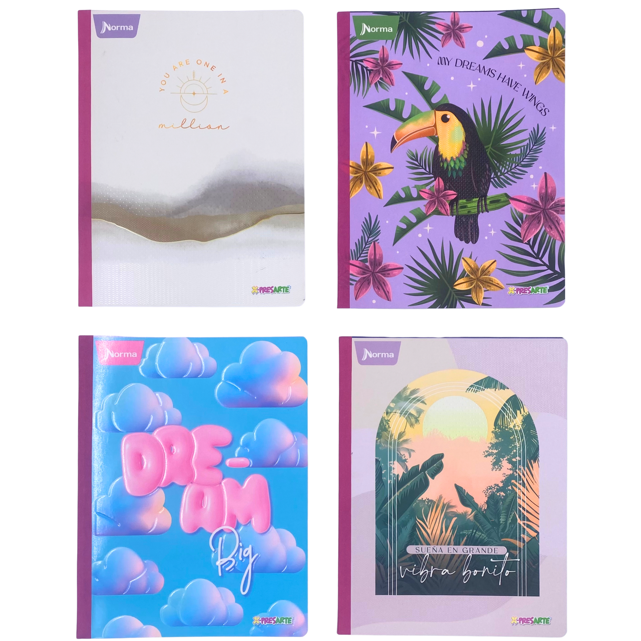cuaderno norma cosido, Linea corriente 100 hojas gama media - Femenino