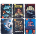 Cuaderno multimateria pequeno 7 materias mixto masculino