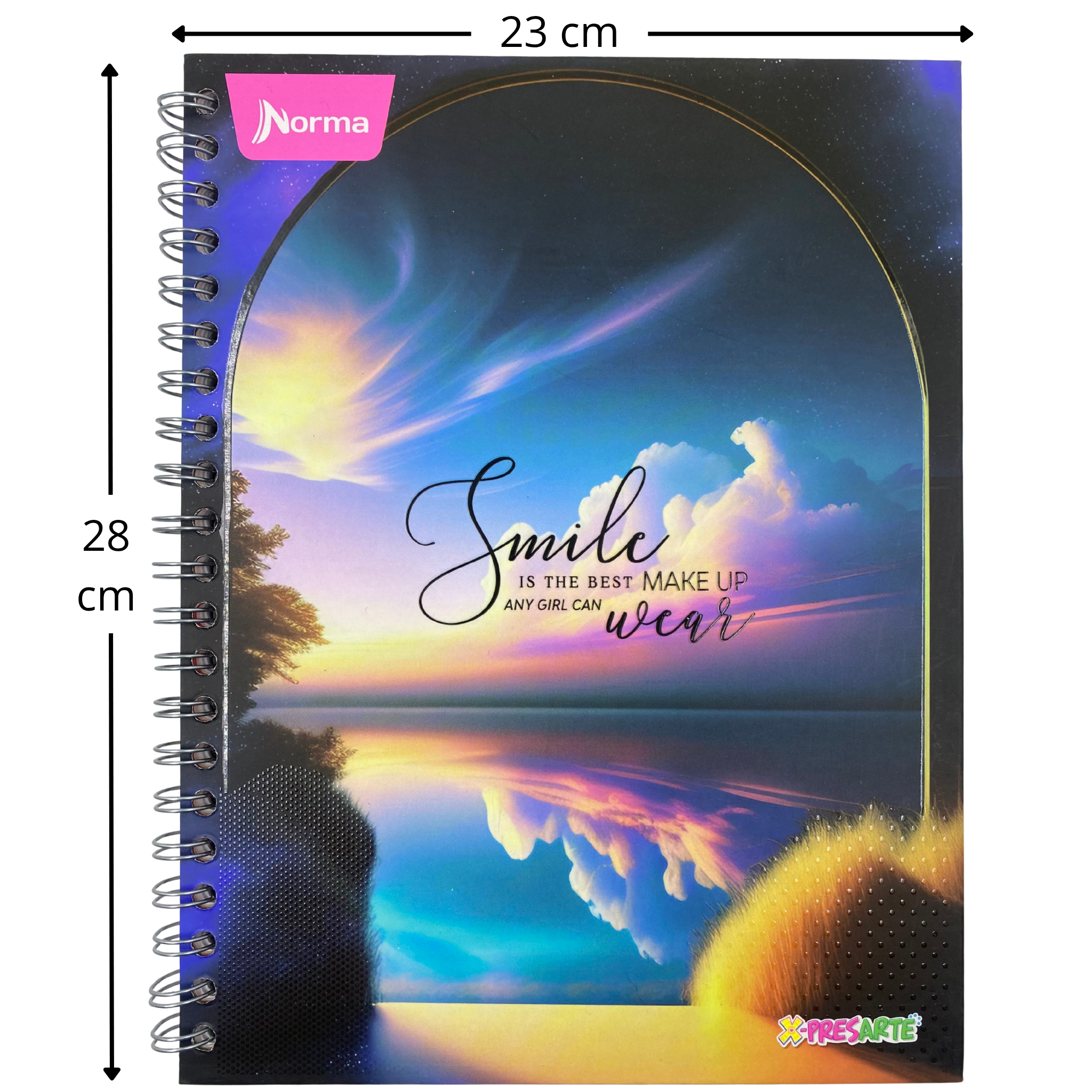 cuaderno grande, Argollado pasta dura - Femenino Linea corriente