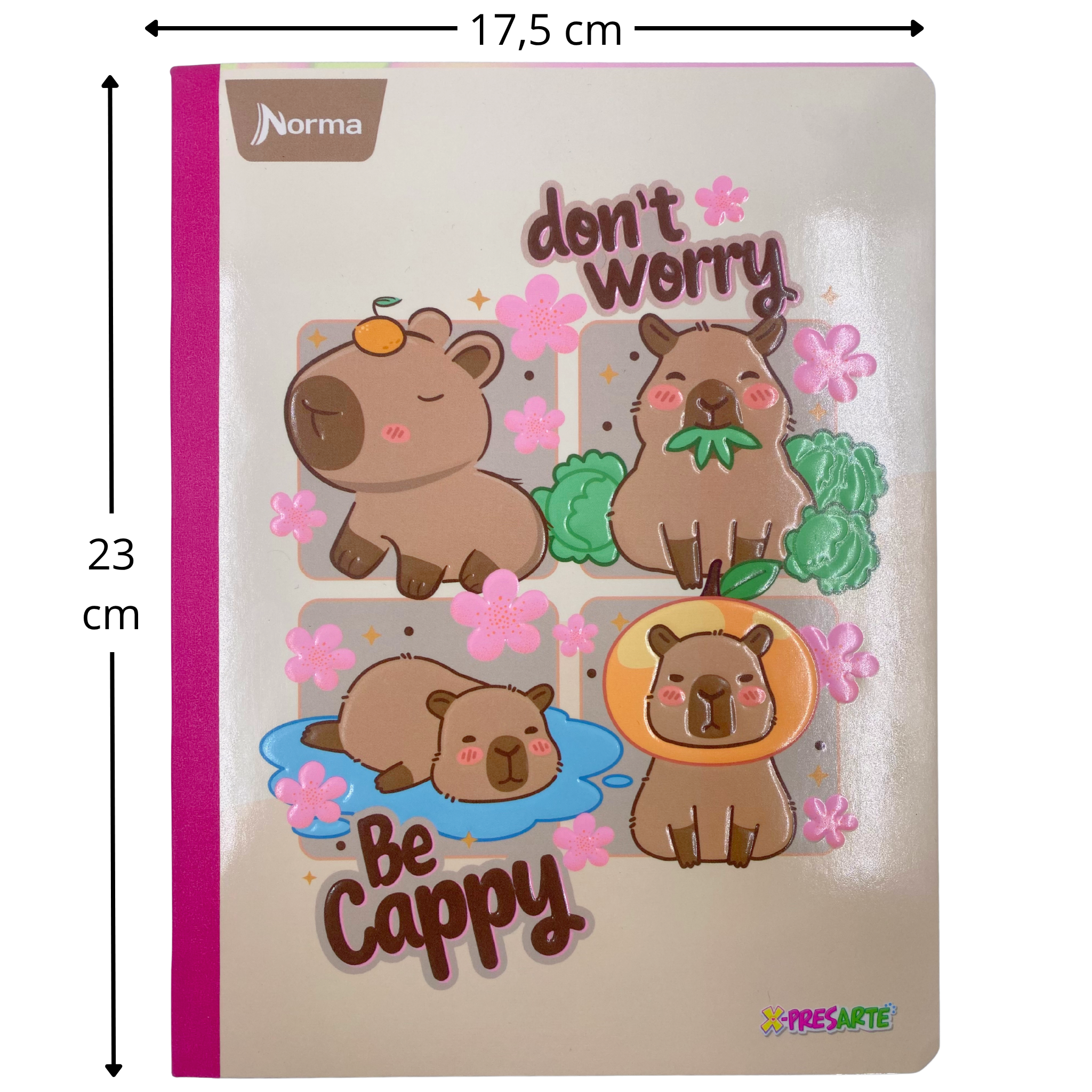 cuaderno norma cosido, Linea corriente 100 hojas gama media - Femenino