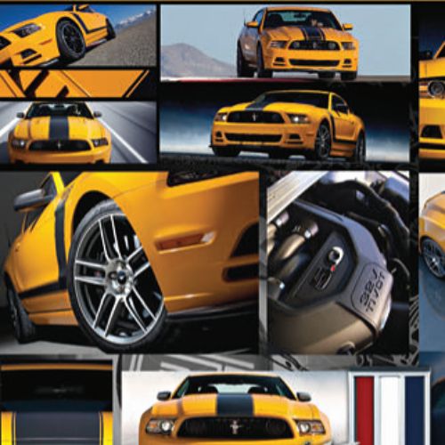 Ford amarillo
