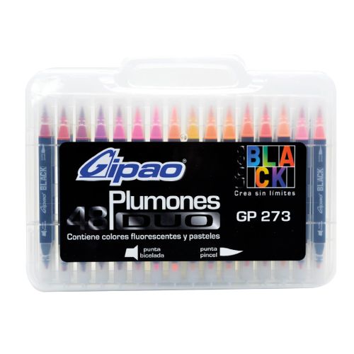 Marcadores gipao doble punta x48