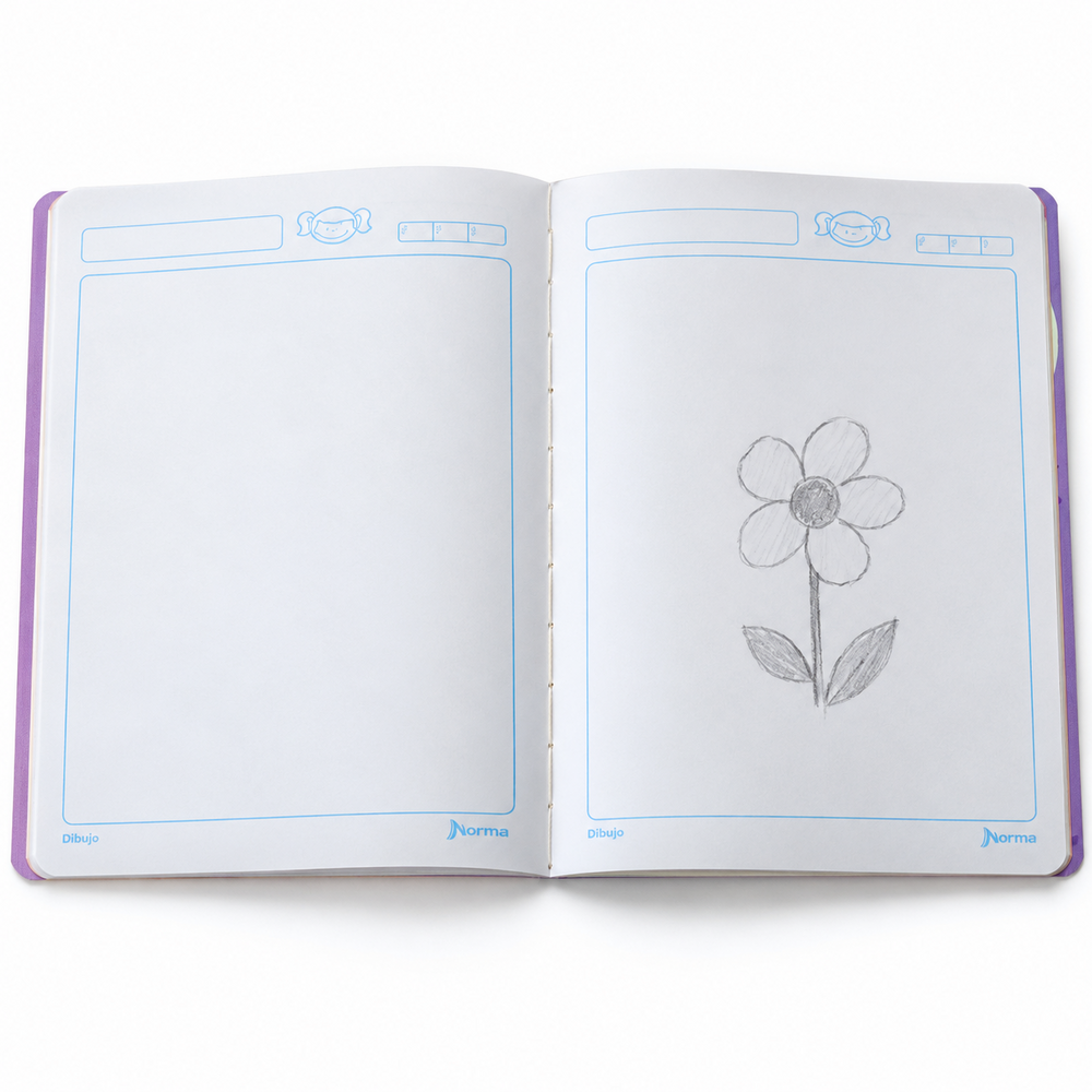Ejemplo de uso del cuaderno Norma E Croly: dibujo a lápiz sobre una hoja con marco. Imagen de referencia.