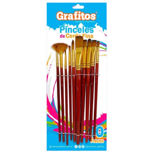 Assorted Paint Brush Set with Case - 10 pcs