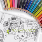 Estuche Prismacolor Premier X 12 Colores Mas Libro Para Colorear cuaderno+ + Panafargo